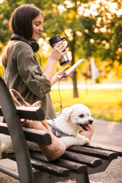 istock Cute little dog taking a break from walking with his owner 1271714198