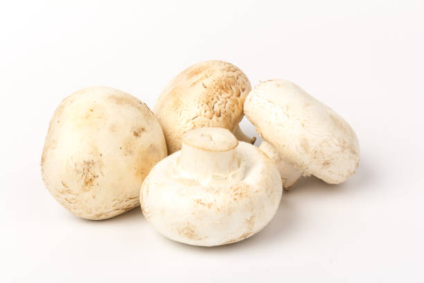 istock Fresh Champignon mushroom, isolated on white background. Close-up 1271714393