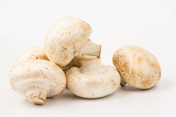istock Fresh Champignon mushroom, isolated on white background. Close-up 1271714448