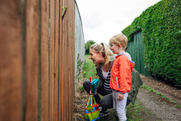 istock What's That Through The Fence? 1271714966