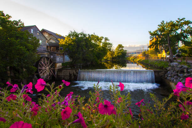 Little Pigeon River In Pigeon Forge Tennessee Waterfall and dam along the Little Pigeon River in the small mountain resort town of Pigeon Forge, Tennessee. city street street man made structure place of work stock pictures, royalty-free photos & images