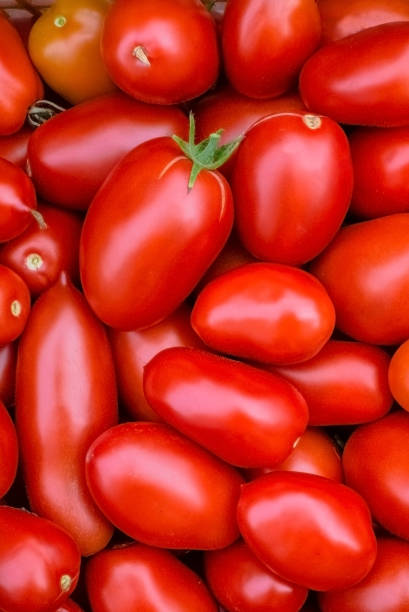istock Fresh red tomatoes. Organic vegetables. 1271717754