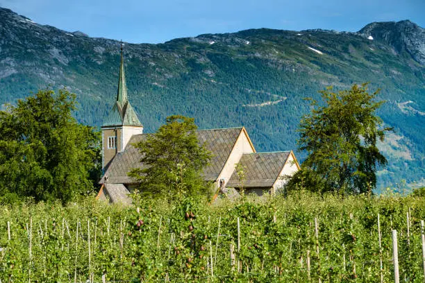 Photo of Famous fruit orchards along  the breathtaking shores of Hardanger fjord and its inner branches, in the traditional Hardanger district of Vestland in Norway.