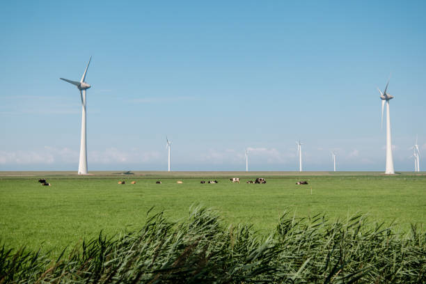 istock offshore windmill park with stormy clouds and a blue sky, windmill park in the ocean 1271718946