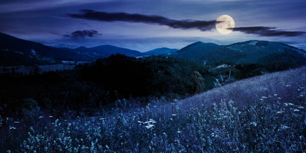 istock pasture on a sunny day in mountains at night 1271721824