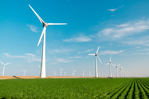 Autumn field in the countryside with a wind turbine in the background.