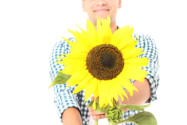 Photo of Mothers day. Handsome smiling guy with sunflower isolated on white. Selective focus and copy space, cropped image.