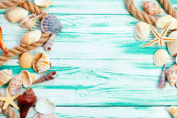 istock Different sea shells on color wooden background 1271733990