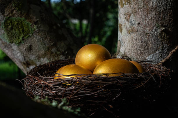 istock Golden eggs in a nest  on the tree 1271734552