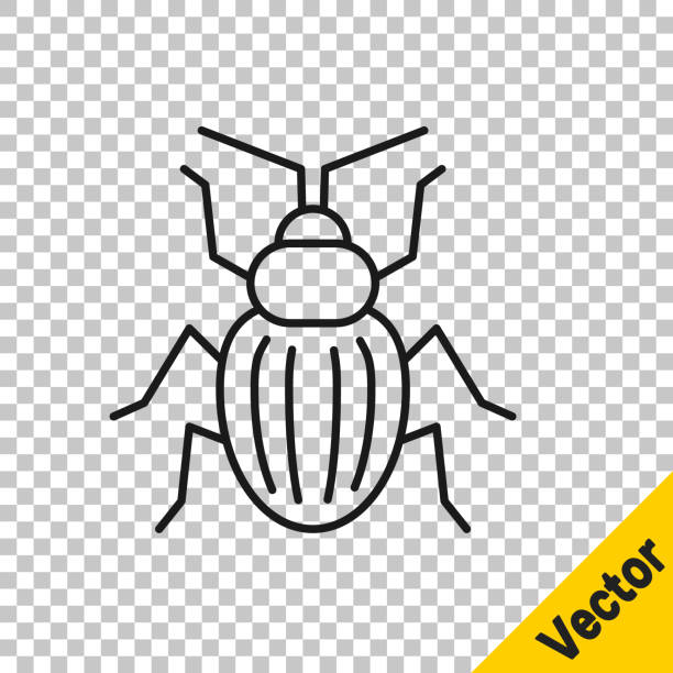 bildbanksillustrationer, clip art samt tecknat material och ikoner med svart linje chafer beetle ikonen isolerade på transparent bakgrund. vektor - melolontha melolontha