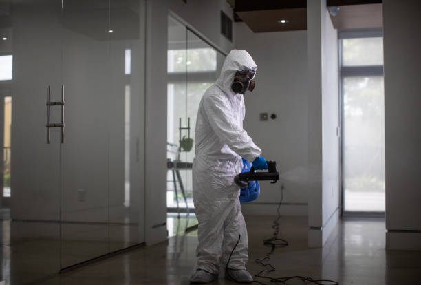 istock Modern corporate office disinfection in Miami 1271737781