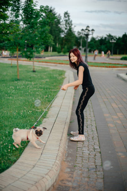 istock The girl keeps her little dog on a leash. 1271737909