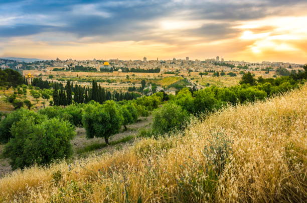 Stunning view of Jerusalem from Mount of Olives Beautiful sunset clouds over the Old City Jerusalem with Dome of the Rock, the Golden/Mercy Gate and St. Stephen's/Lions Gate; view from the Mount of Olives with olive trees and dry grassy hill kidron valley stock pictures, royalty-free photos & images