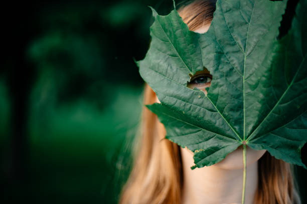 istock A young girl holds a maple leaf in front of her face. 1271738726