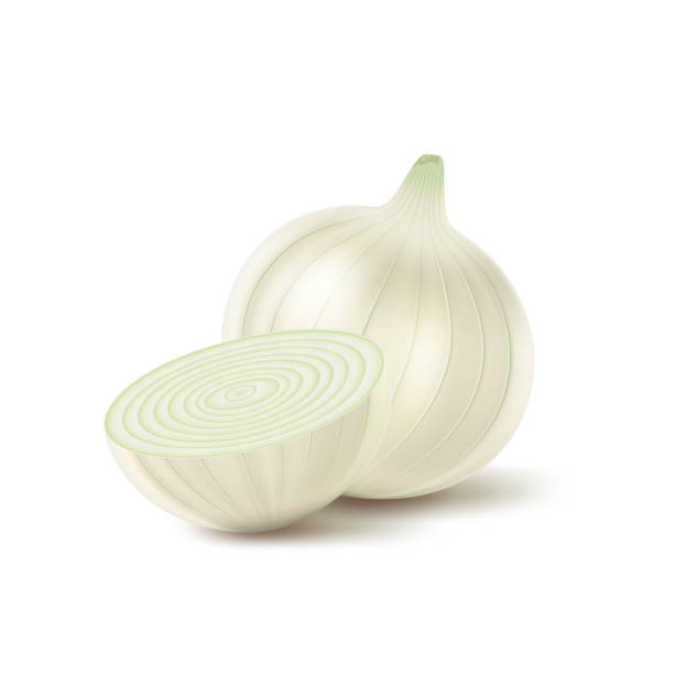 White whole onion, and a cut piece on white background White whole onion, and a cut piece on white background, onion flavor, fresh vegetables. onion stock illustrations