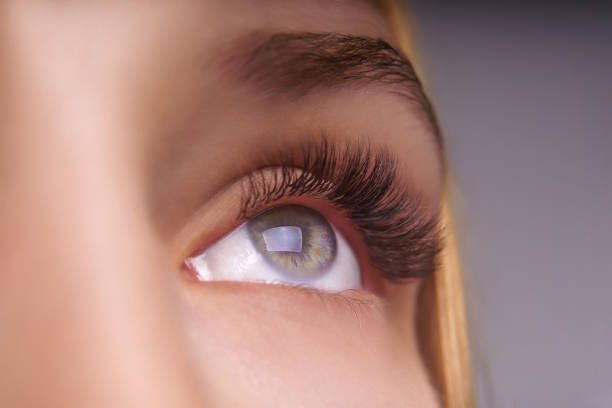 istock Eyelash Extension Procedure. Woman Eye with Long Eyelashes. Close up, selective focus 1271746995