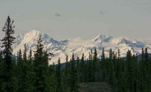 istock Wilderness in Central Alaska 1271747987