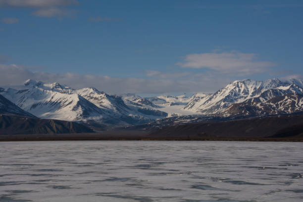 istock Frozen landscape in Alaska 1271748153