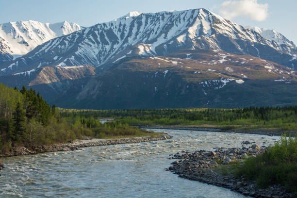 istock Winding river through a forested valley in Alaska 1271748211