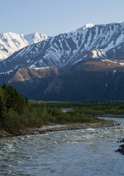 istock Winding river through a forested valley in Alaska 1271748291