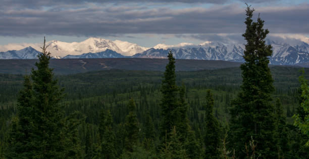 istock Wilderness in Central Alaska 1271748539