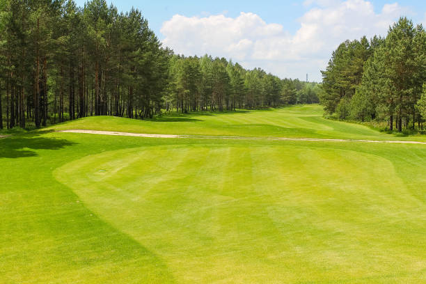 istock Summer landscape golf course panorama and background 1271748562