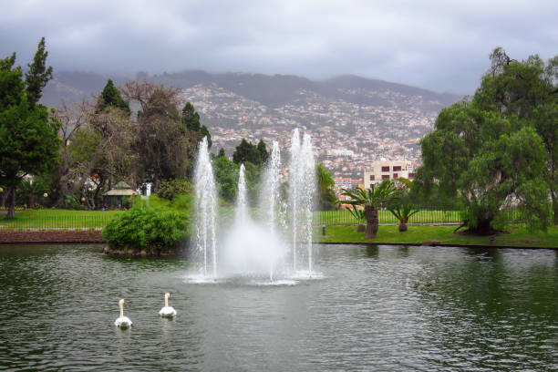 Santa Catarina Park, Funchal, Madeira, Portugal stock photo