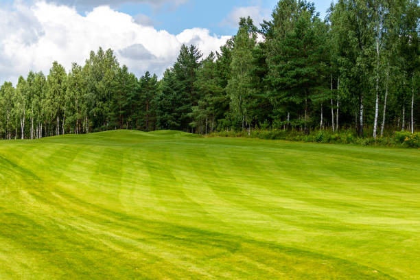 istock Summer landscape golf course panorama and background 1271749966