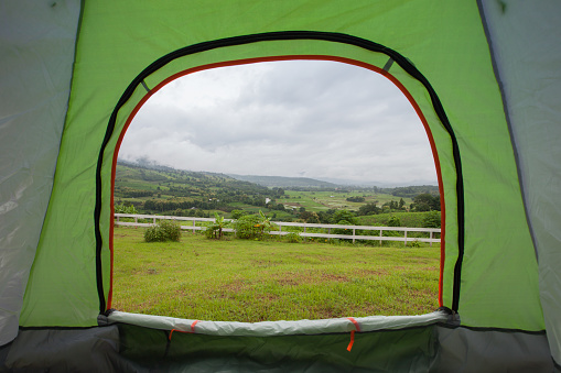 camping tents on green grass filled