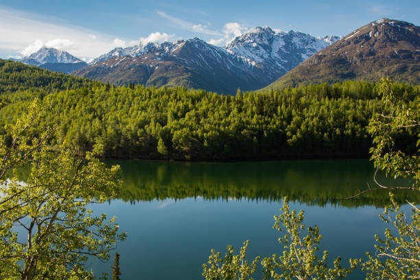 Matanuska Valley on a clear sunny day in the spring Picturesque snowcapped mountains and bright green trees in the Alaskan wilderness. Perfect reflection in the river chugach mountains photos stock pictures, royalty-free photos & images