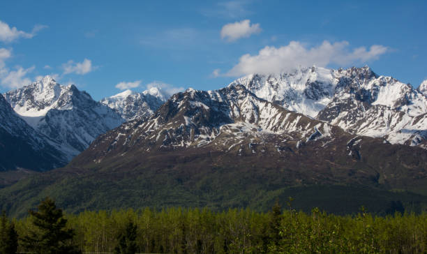 istock Matanuska Valley on a clear sunny day in the spring 1271756289