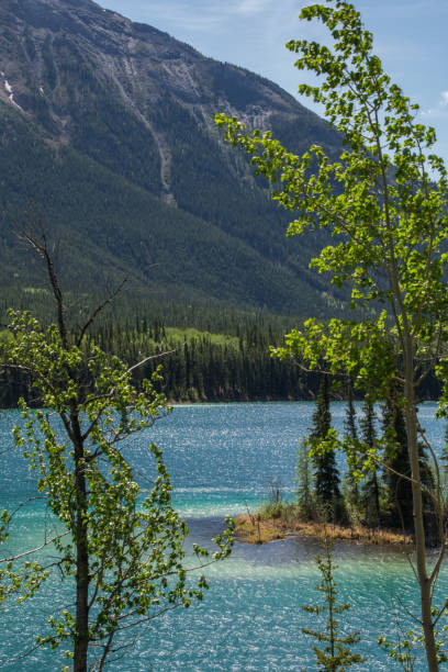 istock Bright blue lake in a forested valley 1271759571
