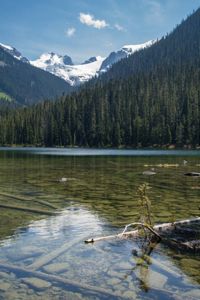 istock Lower Joffre Lake on a clear day 1271759634