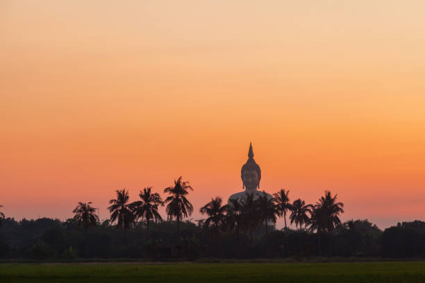 Landscape of green paddy field with big buddha image background at sunset twilight stock photo