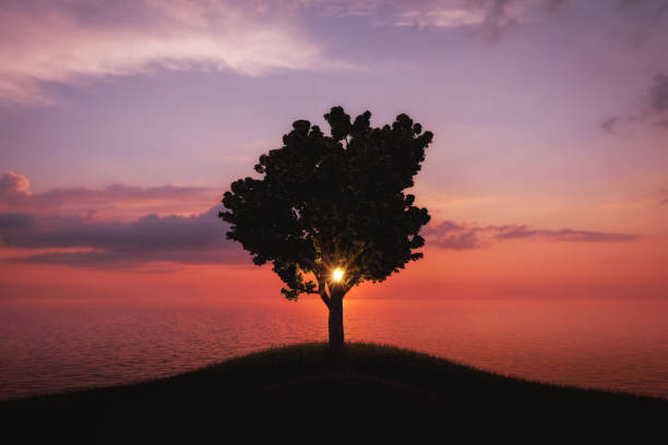 istock Silhouette of tree near the sea 1271762296