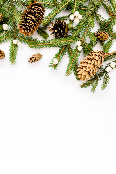 istock Christmas composition with fir branches, pine cones on white background. Flat lay, top view 1271762299