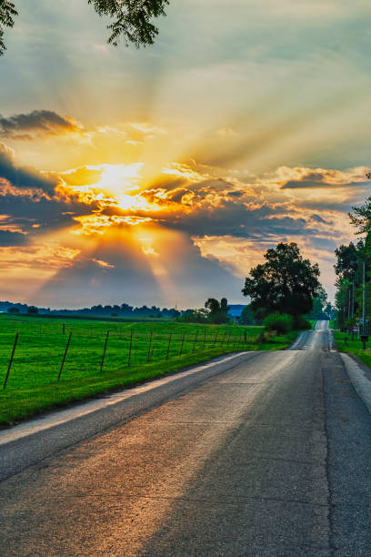 istock Rural Road at Sunrise with Sunbeams 1271762647