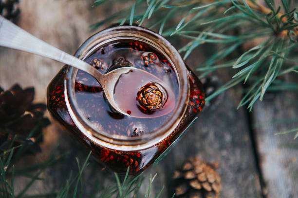 Pine cone Syrup stock photo