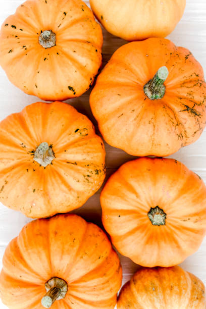 istock Orange pumpkins Halloween isolated on white background. Flat lay, top view. Autumn minimal concept 1271763384