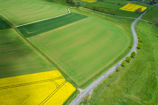 Canola fields and country road, agricultural area - aerial view