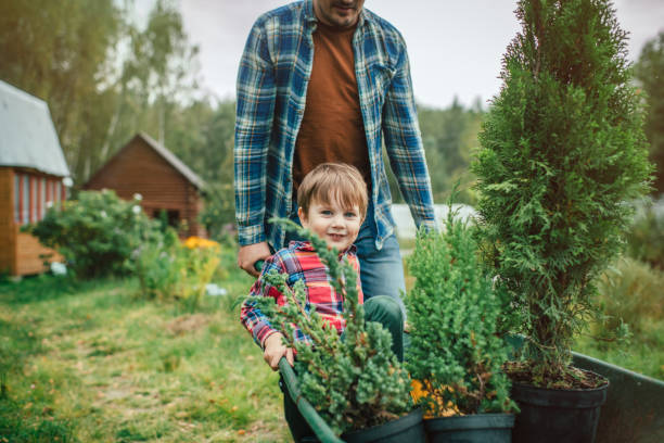 istock Family planting tree at back yard 1271768456