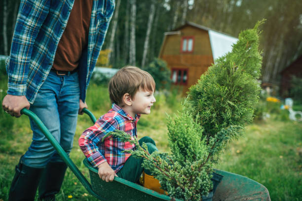 istock Family planting tree at back yard 1271768487
