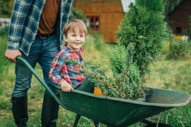 istock Family planting tree at back yard 1271768546