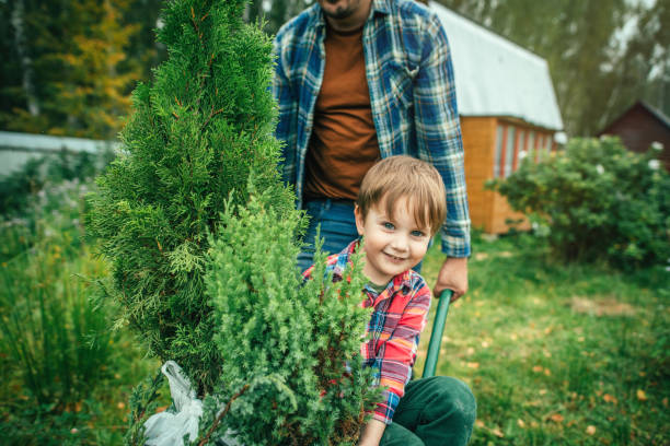 istock Family planting tree at back yard 1271768585