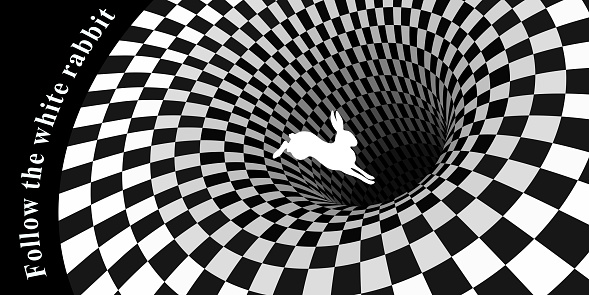 White rabbit runs and falls into a hole