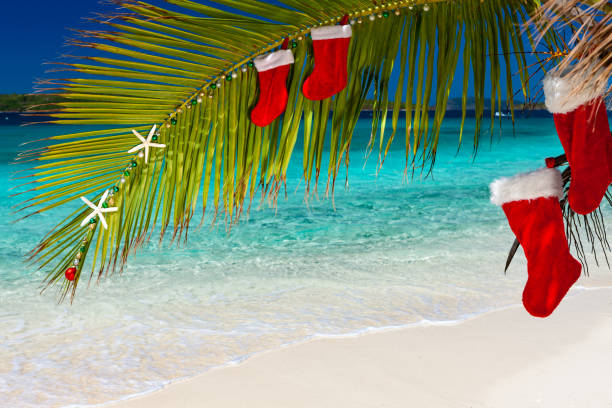 istock Palm tree with Christmas ornaments, stockings on a tropical beach 1271772509