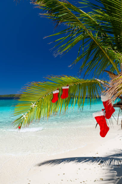 istock Palm tree with Christmas ornaments, stockings on a tropical beach 1271772514