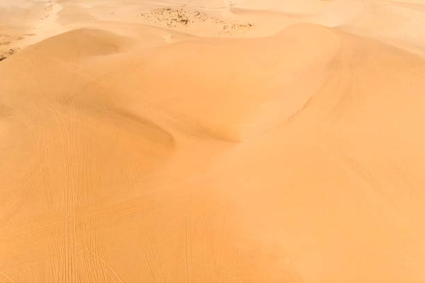istock Above of winding sand dune in desert 1271773122