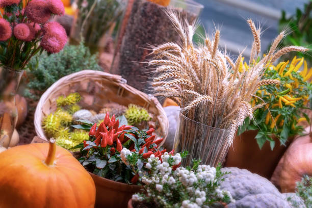 新鮮な明るいカボチャ、小麦の耳、花や装飾ペパー、カラフルな秋の背景、選択的な焦点とお祝いの素朴な組成物。 - autumn harvesting stationary life ストックフォトと画像