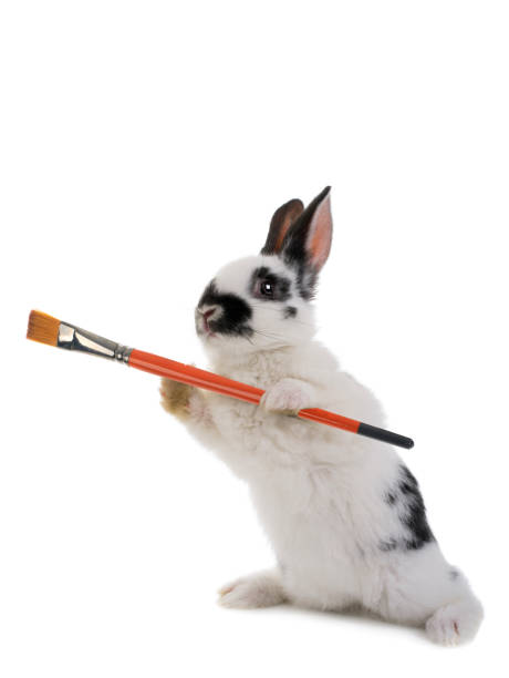 istock Rabbit holds a brush for painting isolated on a white background. 1271775099